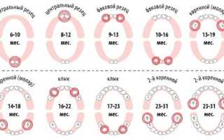 Может ли начаться прорезание зубов в 2 месяца?