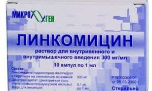 Инструкция по применению медикамента Линкомицин: характеристика правильного лечения